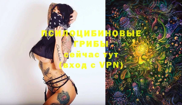 MDMA Premium VHQ Беломорск